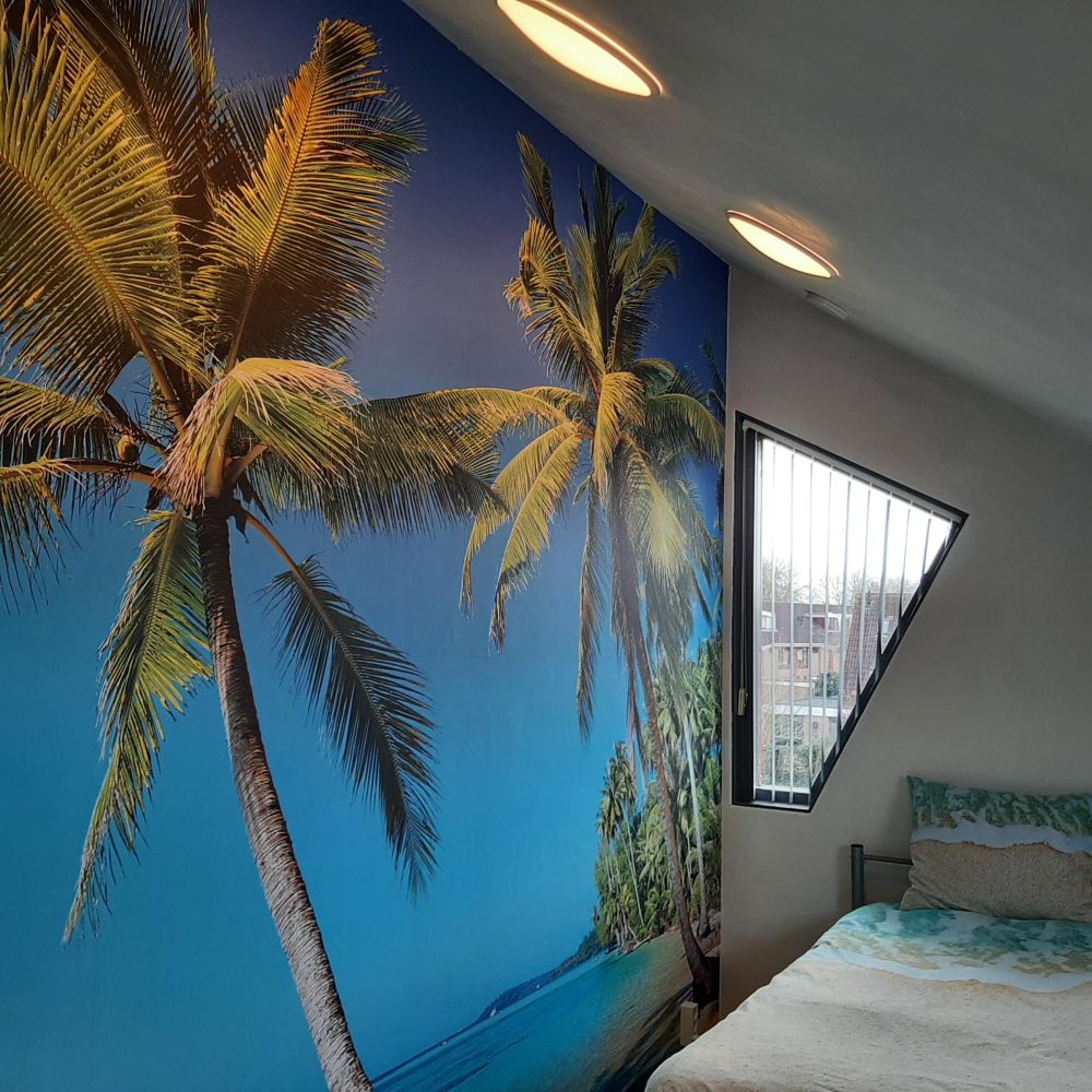 Caribbean