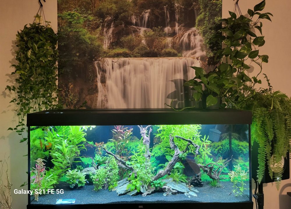 Een grote waterval