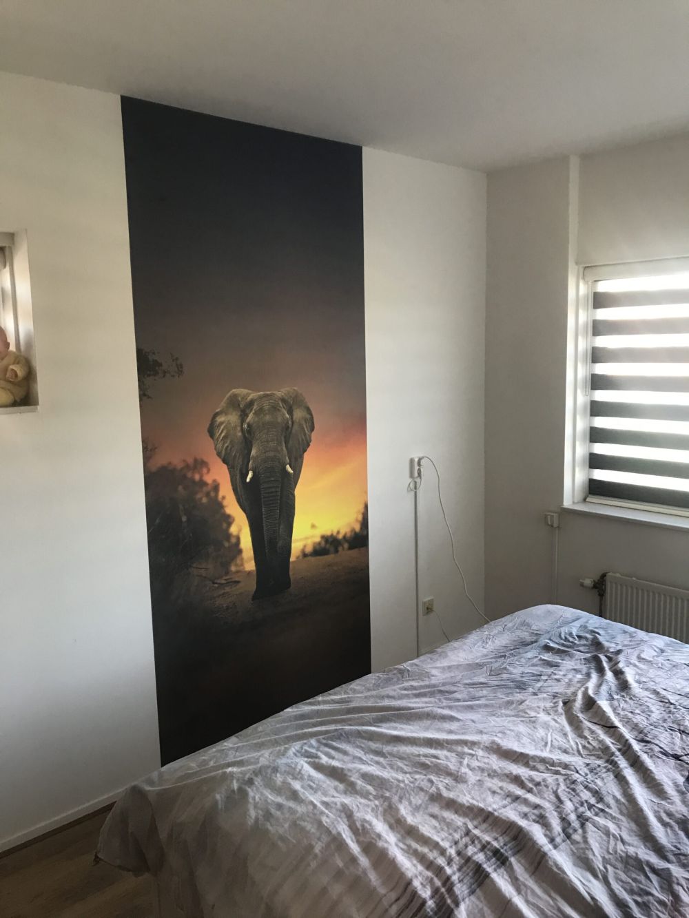 Olifant in de zonsondergang
