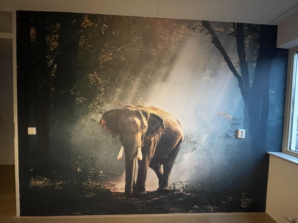 Olifant in een jungle