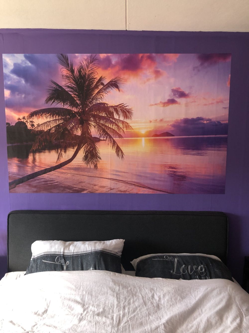 Palmboom bij een zonsondergang
