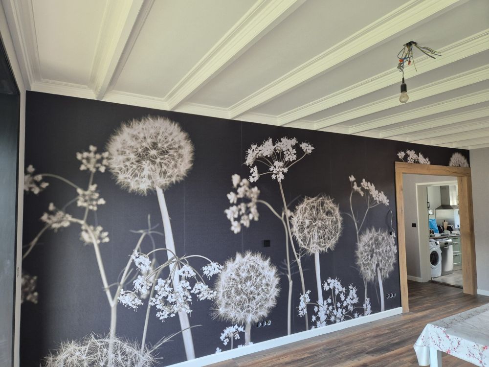 Meadow fantasie