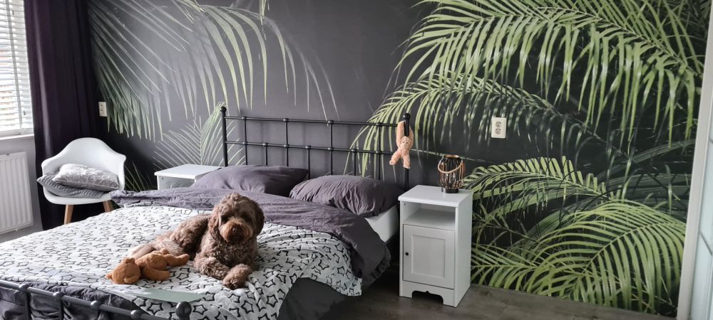 Plant met groene bladeren