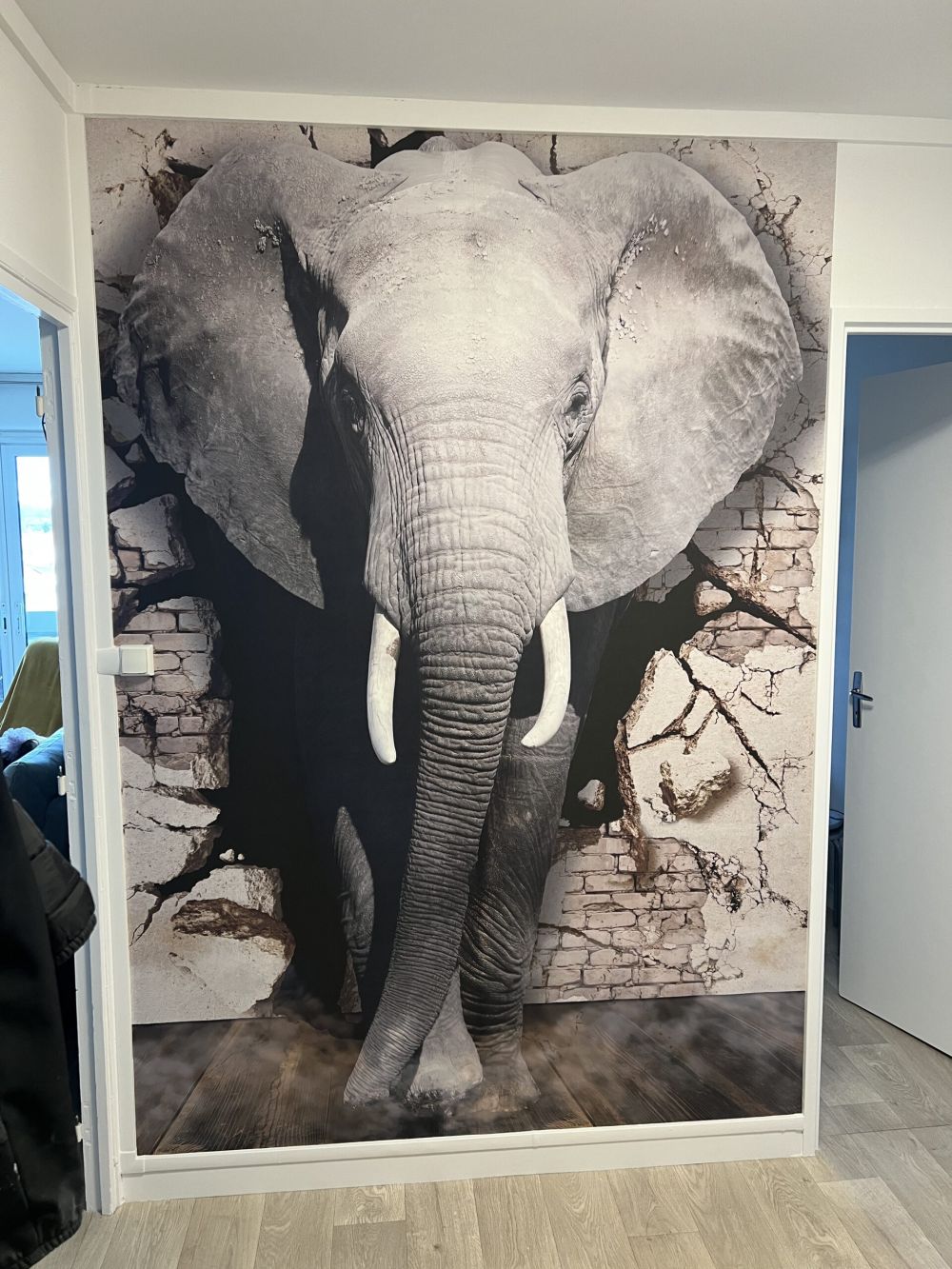 3D Olifant uit de muur