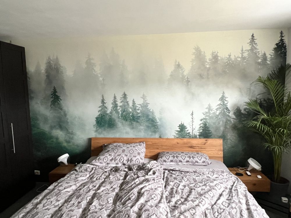 Foggy forest
