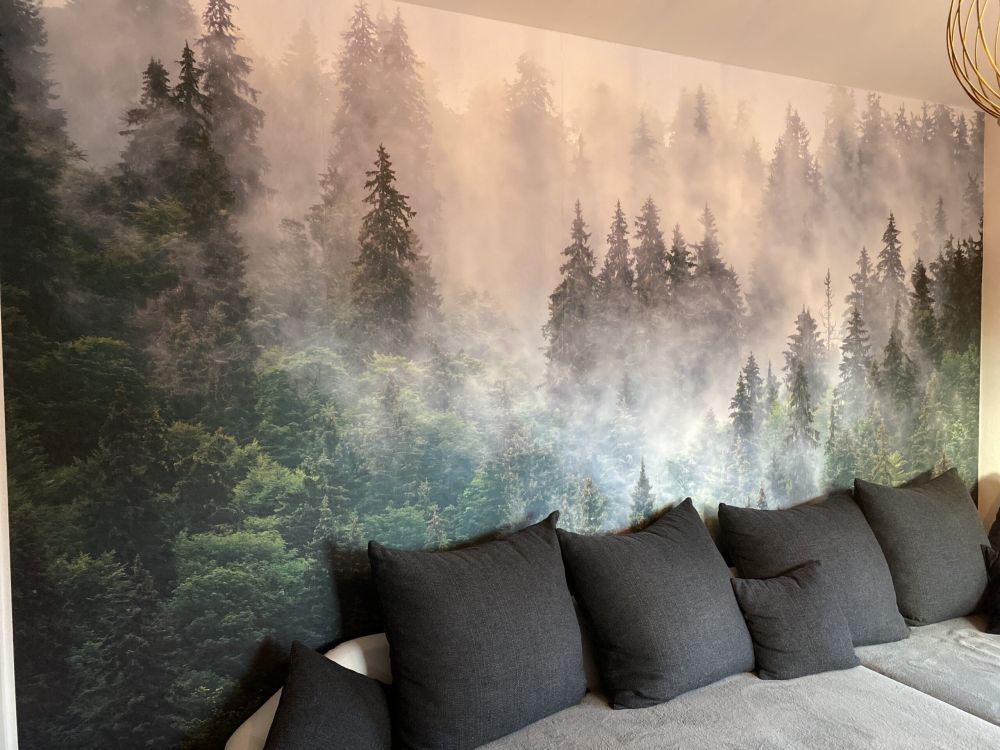 Mistig landschap met groene bomen