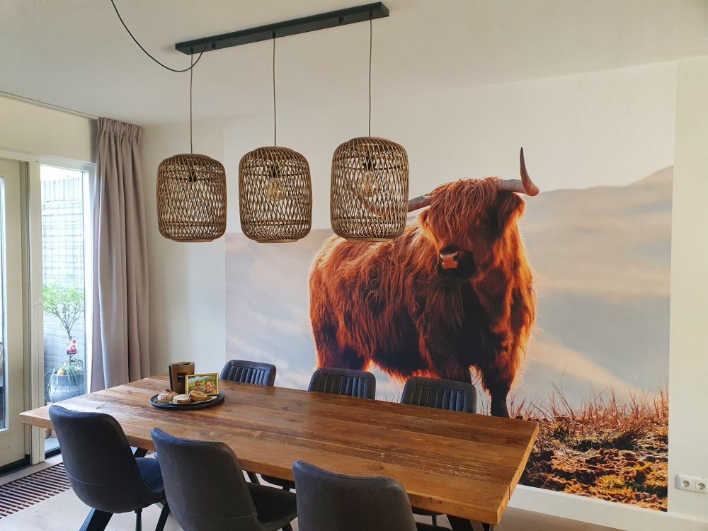 Schotse hooglander op een heuvel
