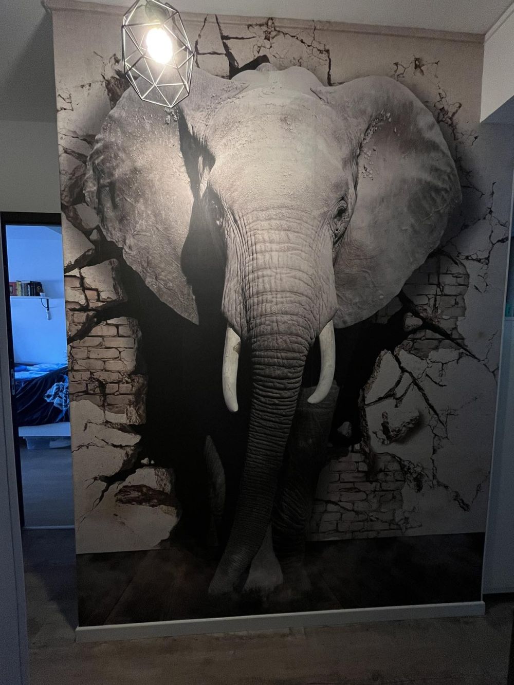 3D Olifant uit de muur
