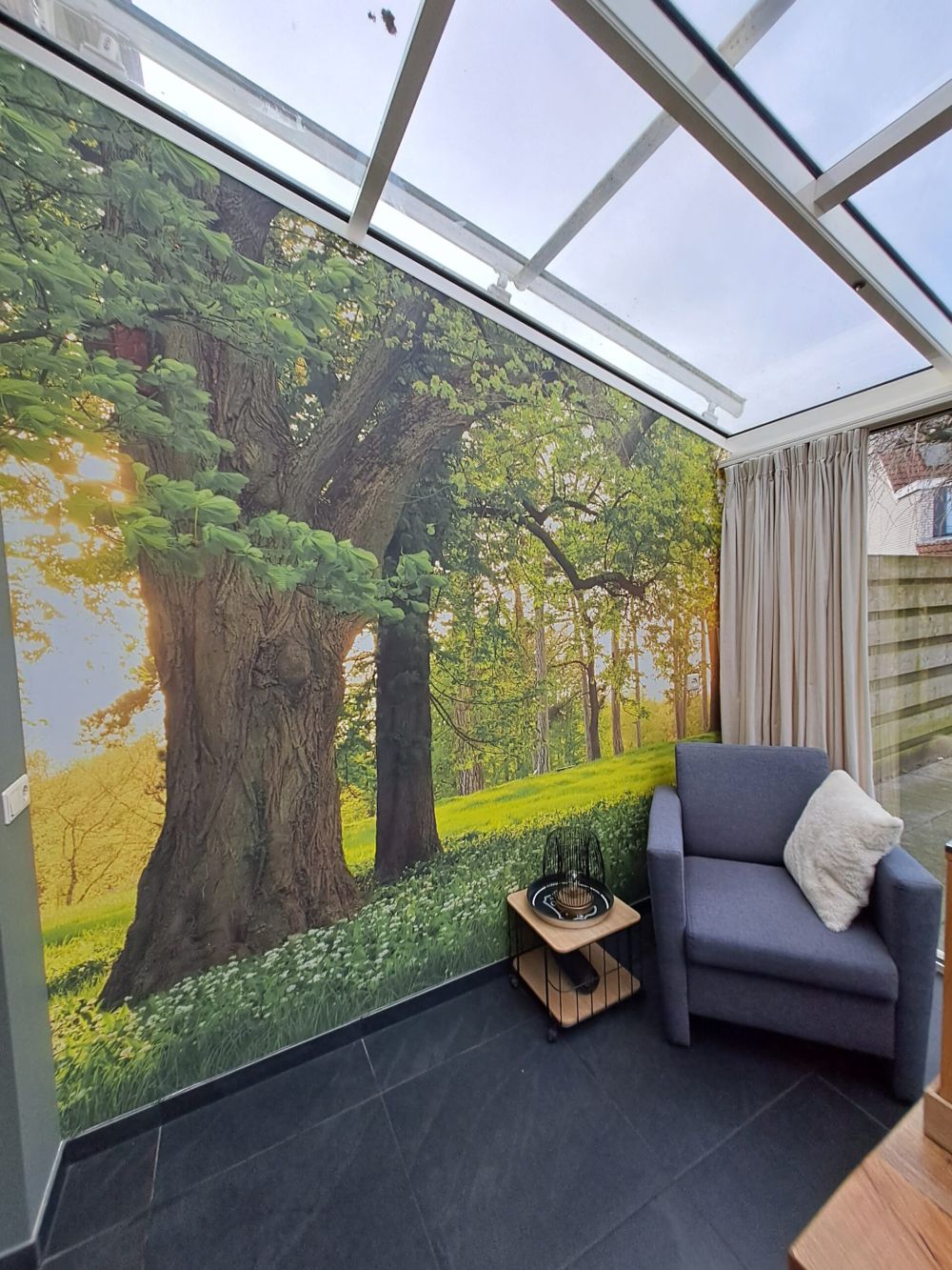 Fotobehang van een open plek in het bos