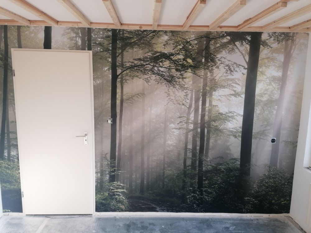 Groen bos in de mist