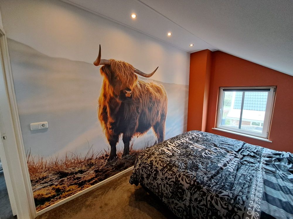 Schotse hooglander op een heuvel