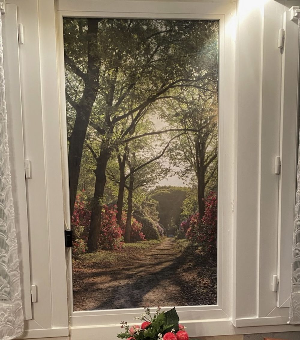 Zonsopkomst bij pad met rhododendrons