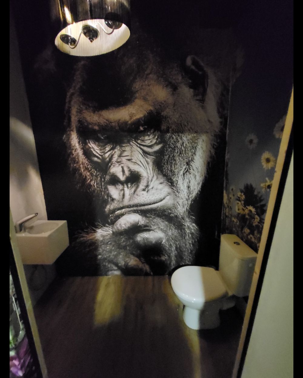 Close-up foto van een gorilla