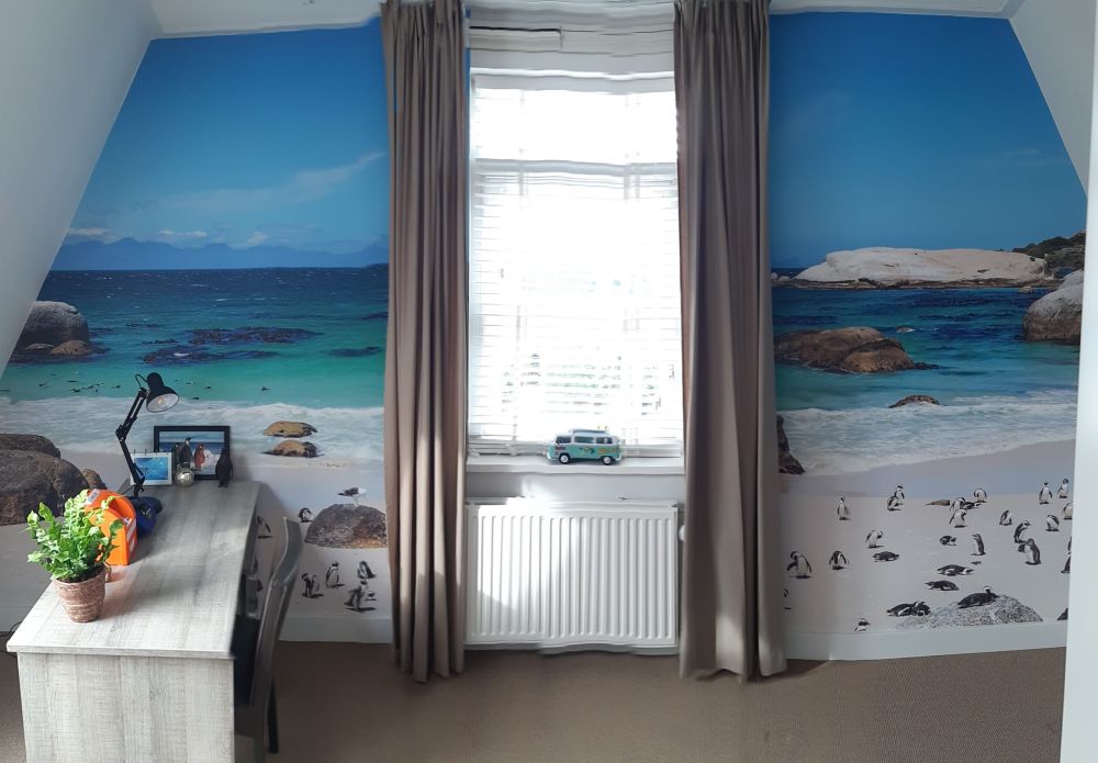 Strand met pinguïns