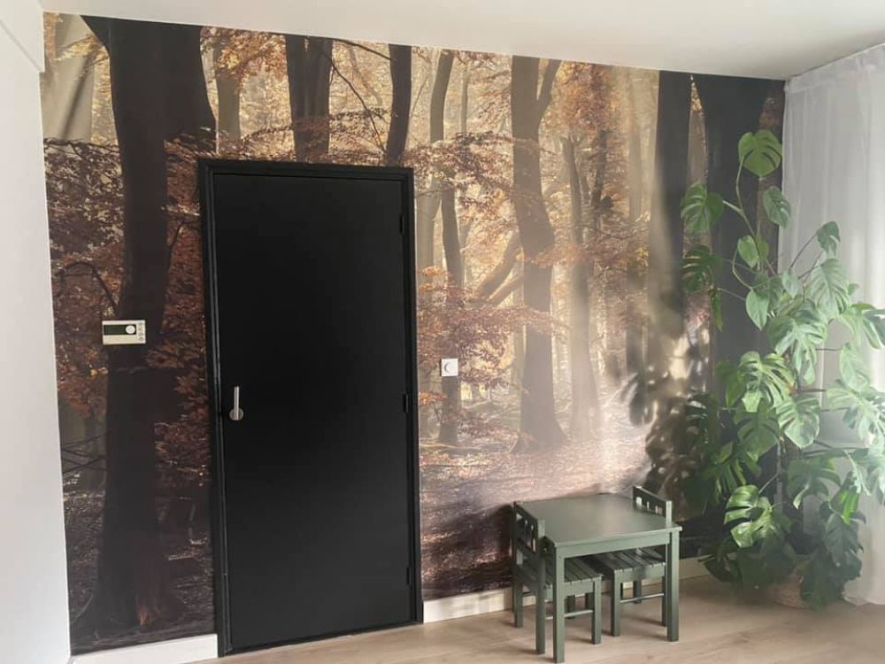 Herfstkleuren in het bos