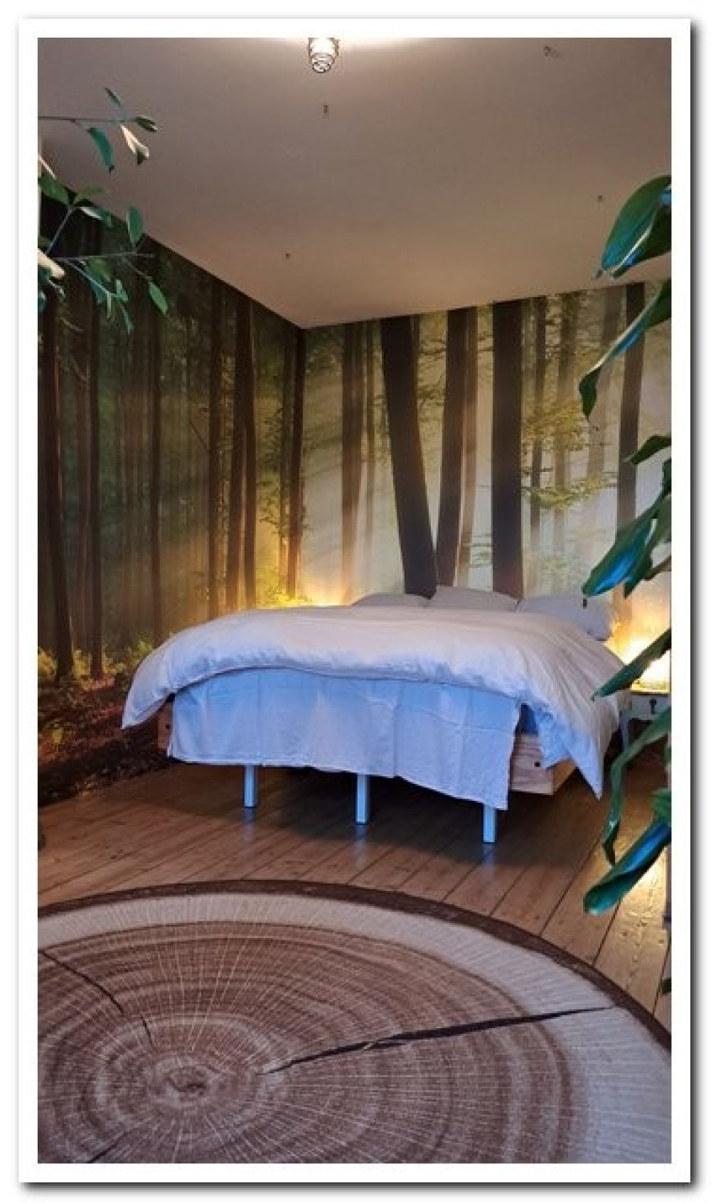 Ochtendzon tussen de bomen