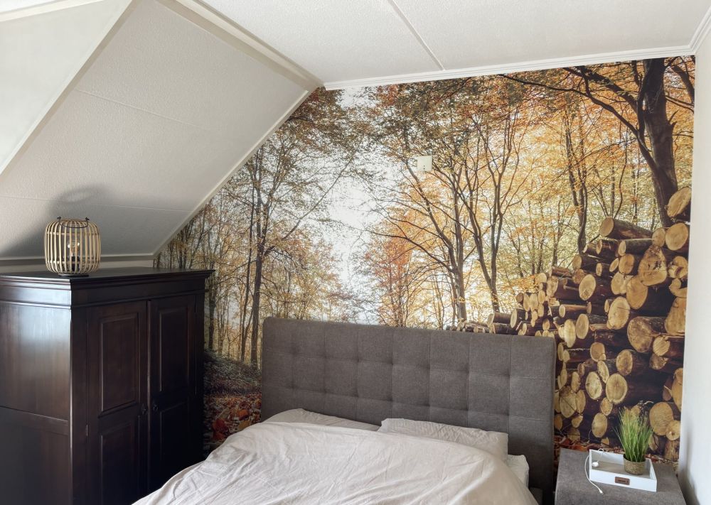 Boomstammen in herfstbos