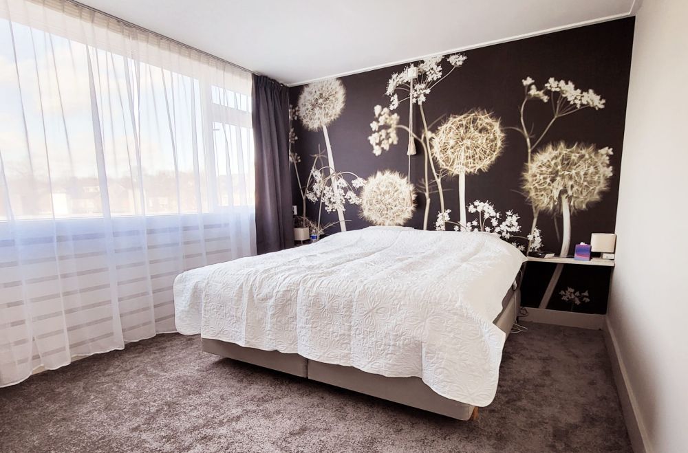 Meadow fantasie