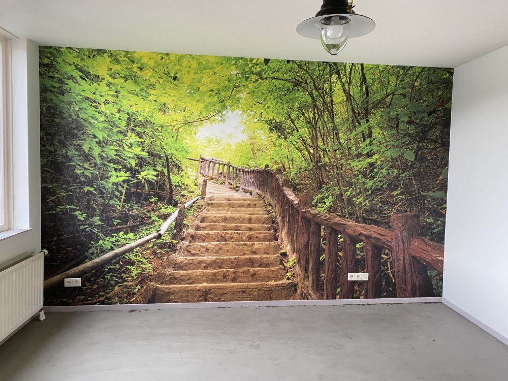 Trap in een bos