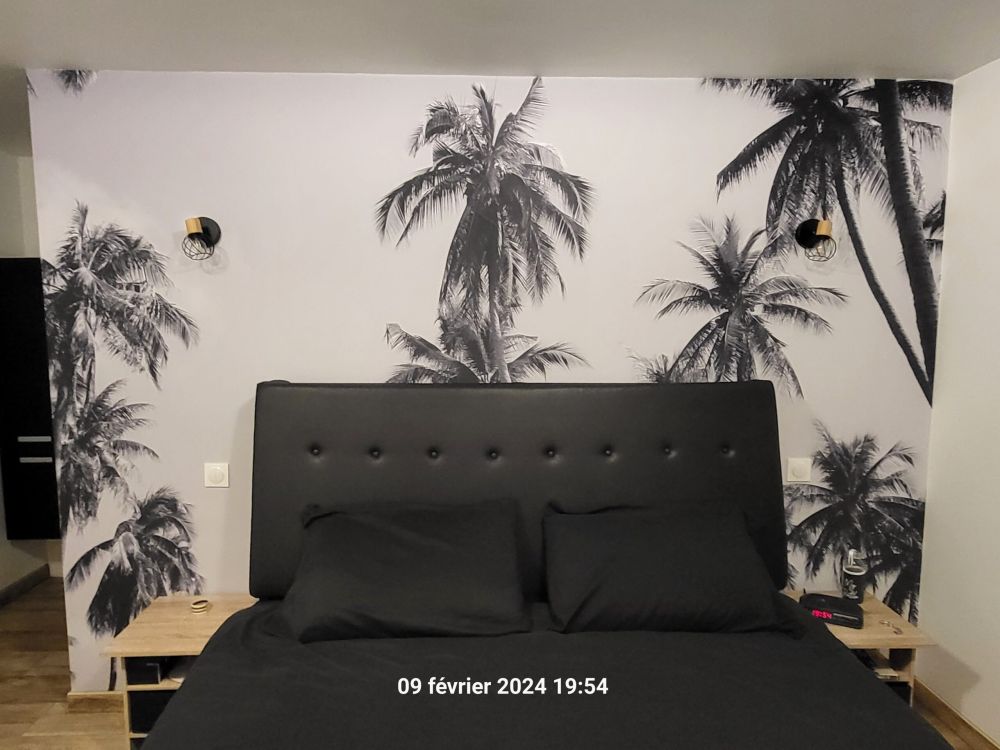Palmbomen in zwart-wit