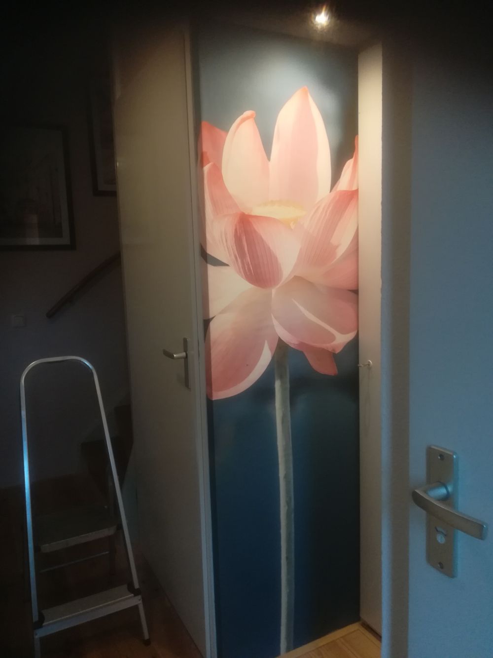 Lotusbloem lichtroze