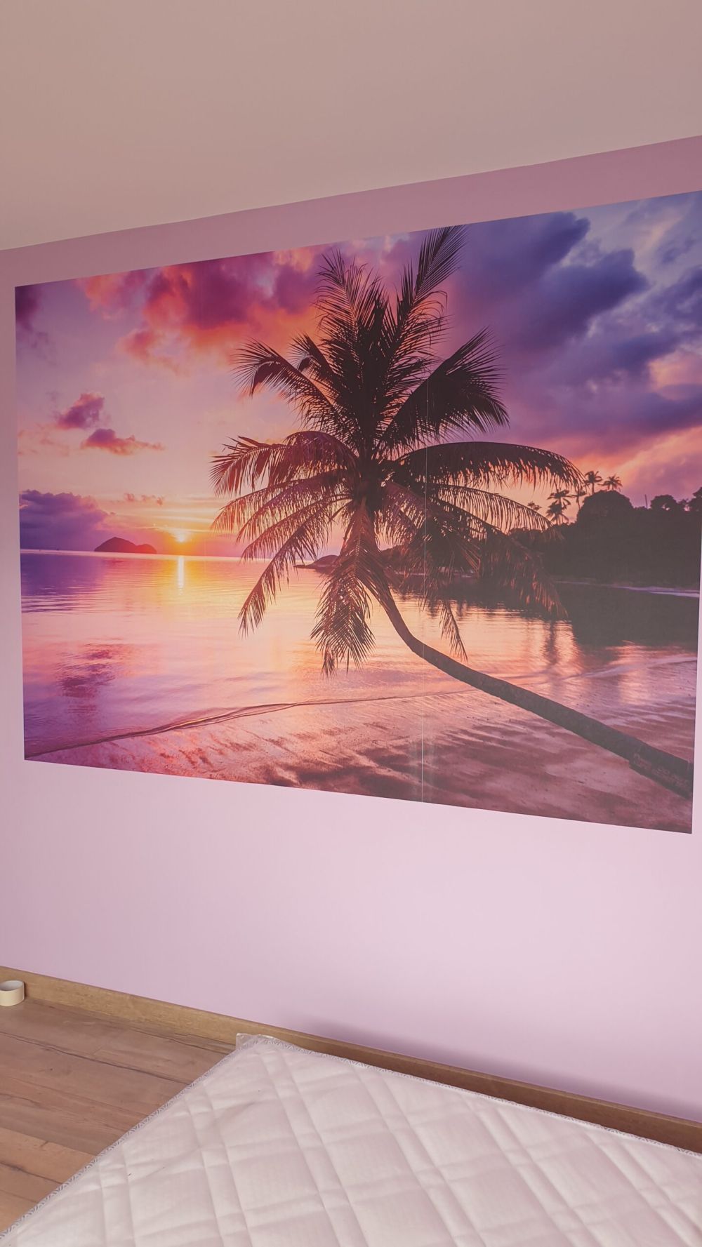 Palmboom bij een zonsondergang