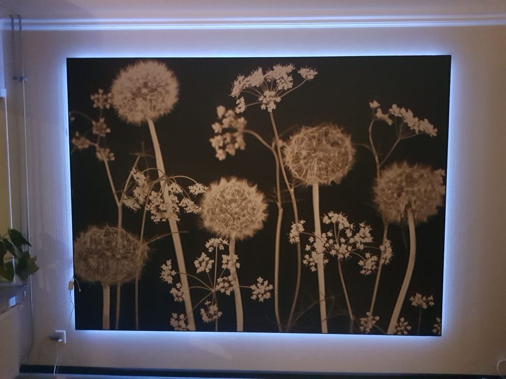 Meadow fantasie