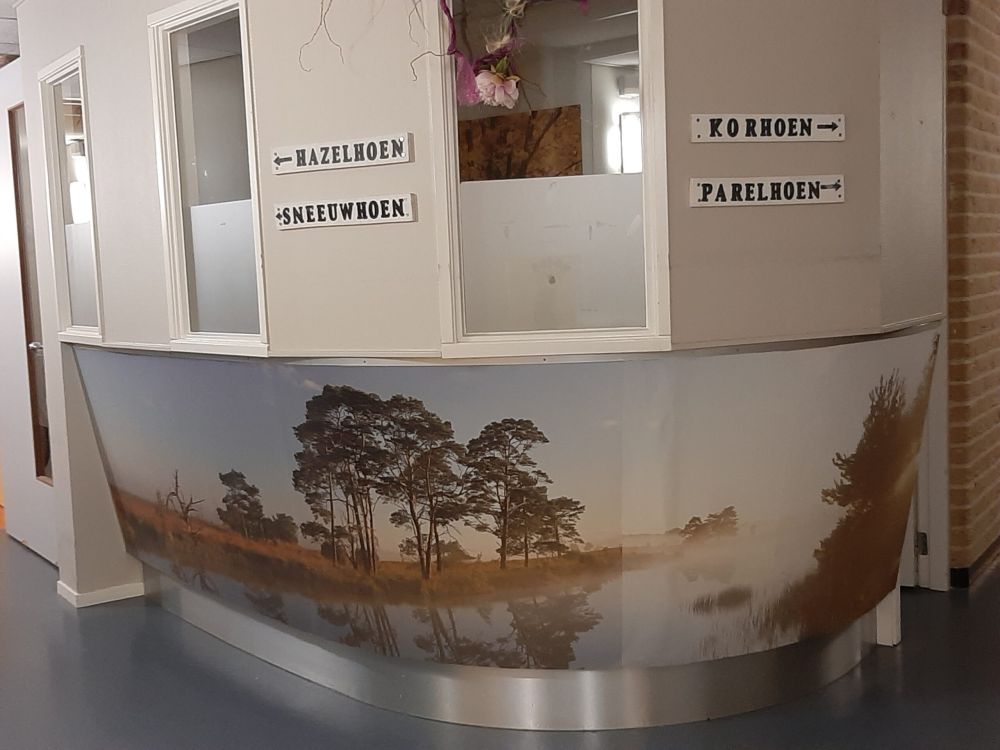 Weerspiegeling in heidegebied
