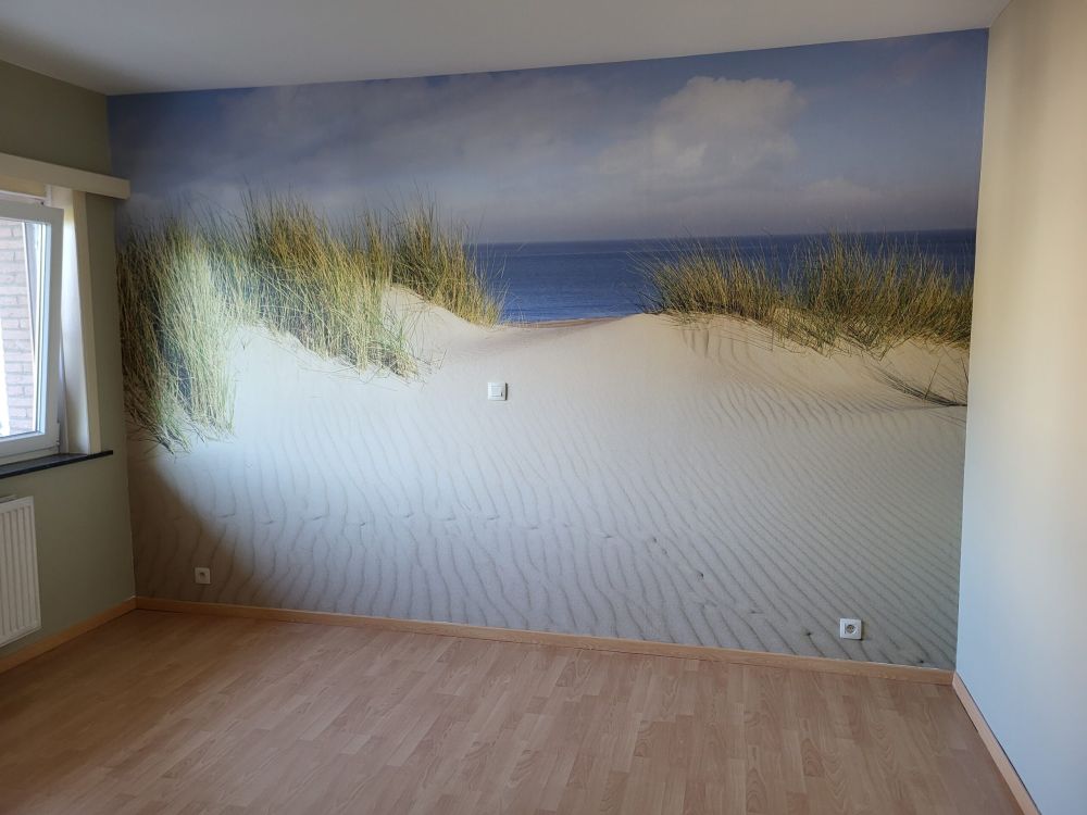 Duin doorgang naar het strand