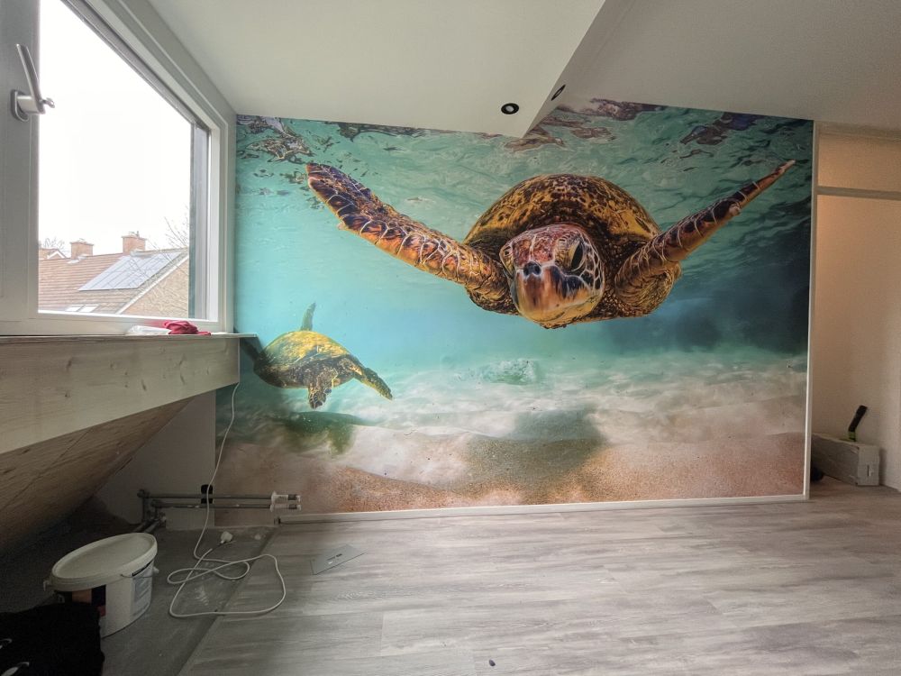 Zeeschildpad in de oceaan
