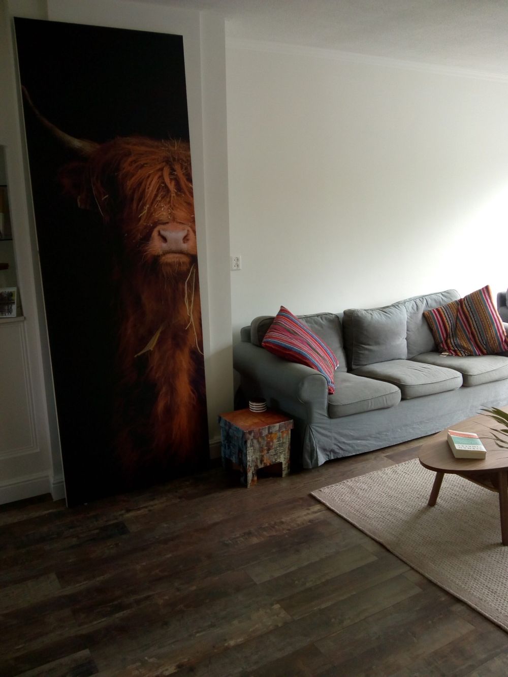 Portret Schotse hooglander