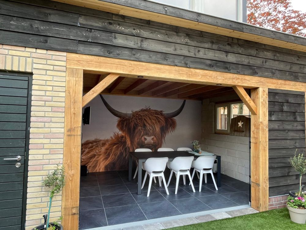 Starende Schotse hooglander