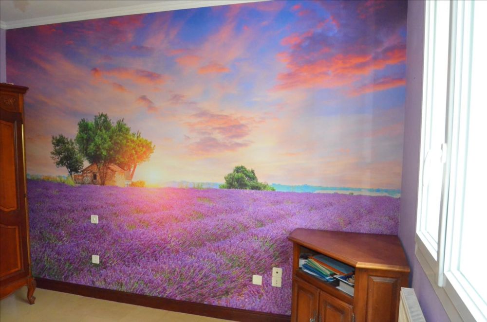 Lavendelveld tijdens zonsopkomst