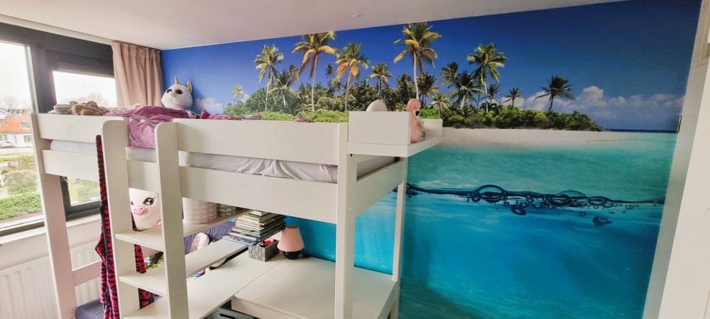 Tropisch eiland en koraalrif