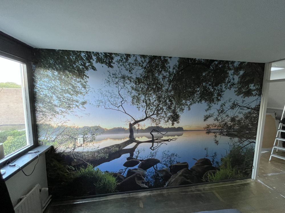 Lake view