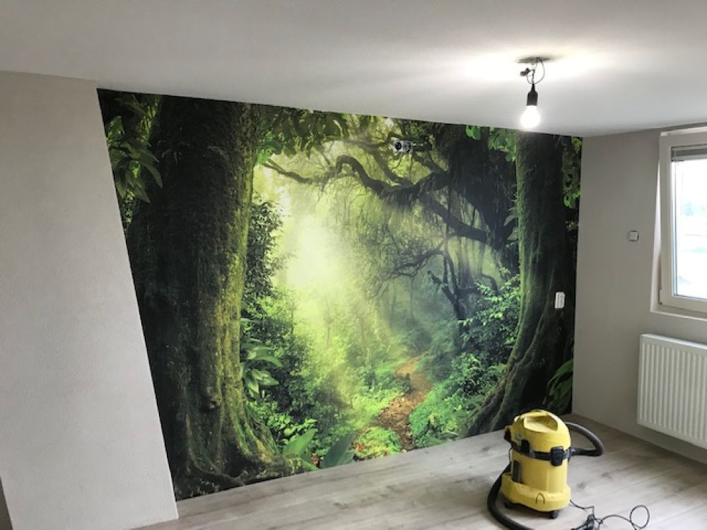 Jungle met zonnestralen