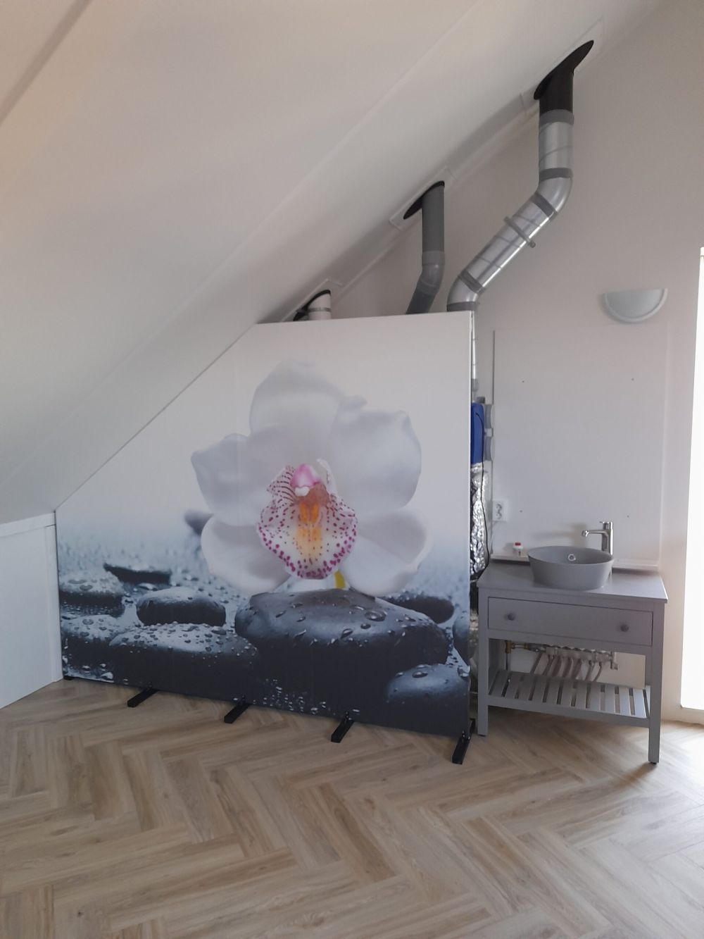 Witte orchidee