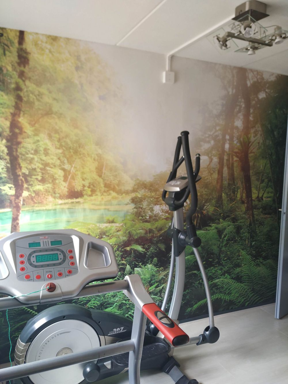 Meer in de jungle