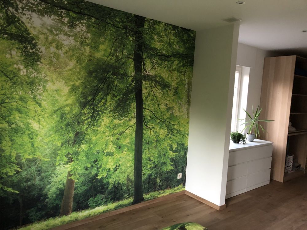 Bos met lichte nevel