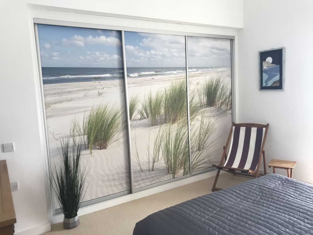 Strand met duinplanten