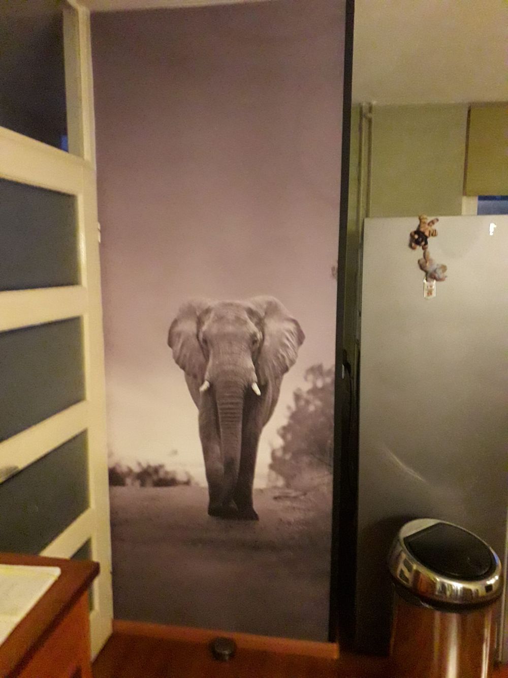 Olifant in de zonsondergang