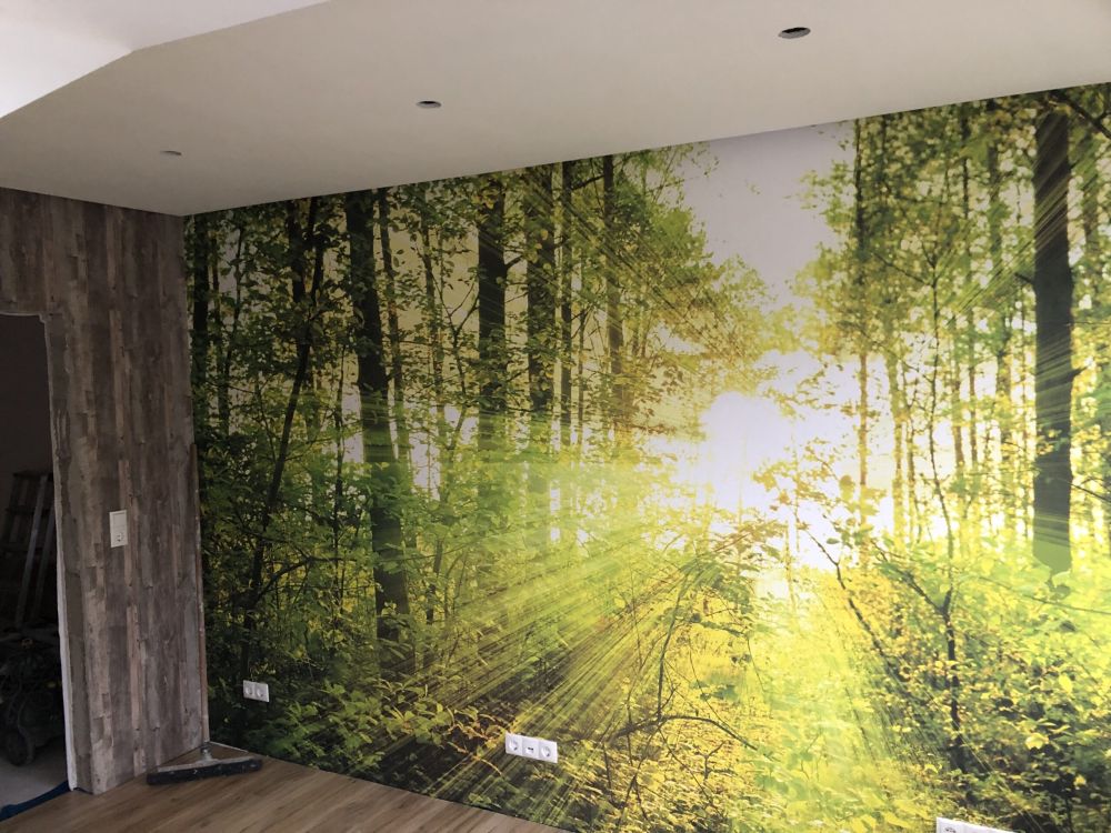 Zonnestralen in een groen bos