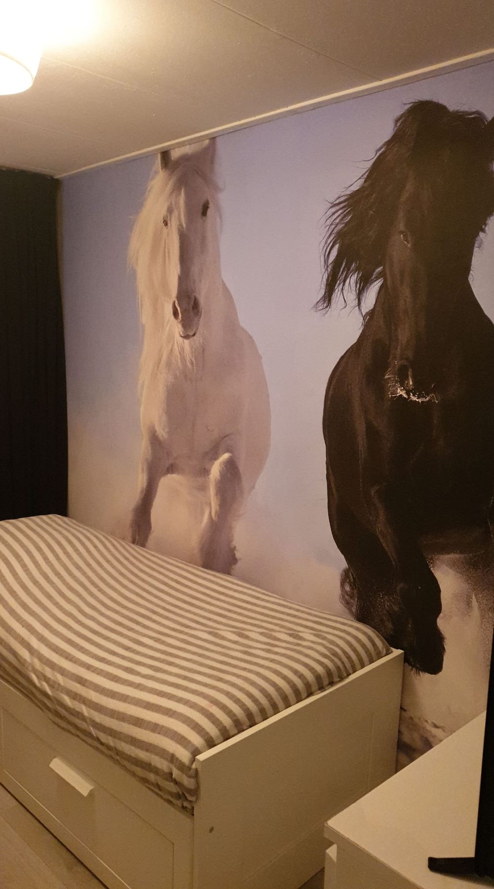 Wit en een zwart paard
