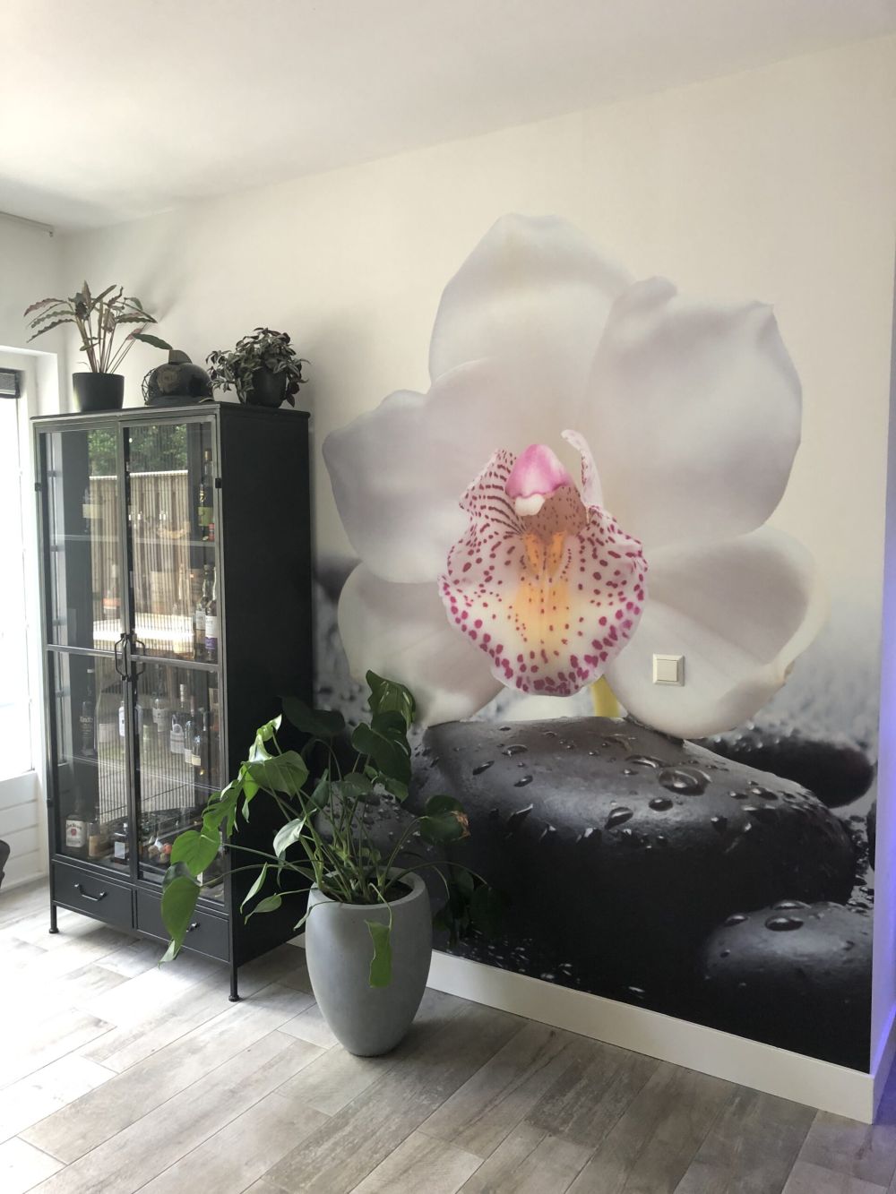 Witte orchidee