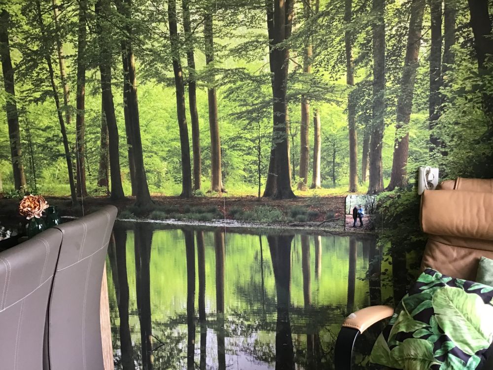 Weerspiegeling van bomen in water