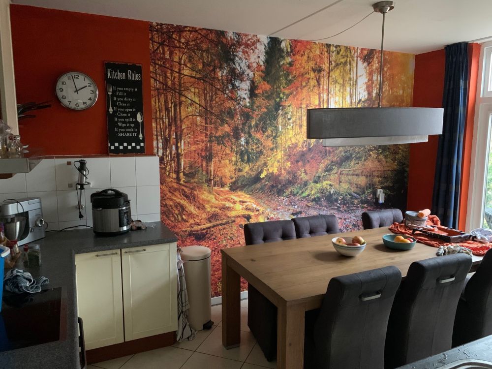Boom in herfstkleuren