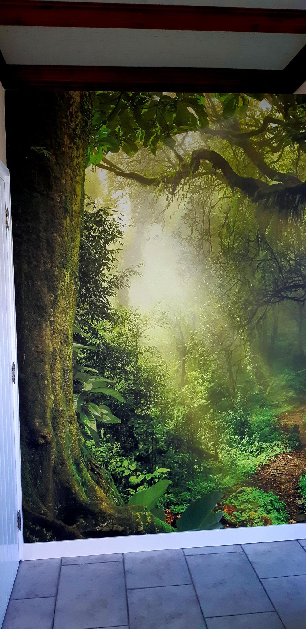 Jungle met zonnestralen
