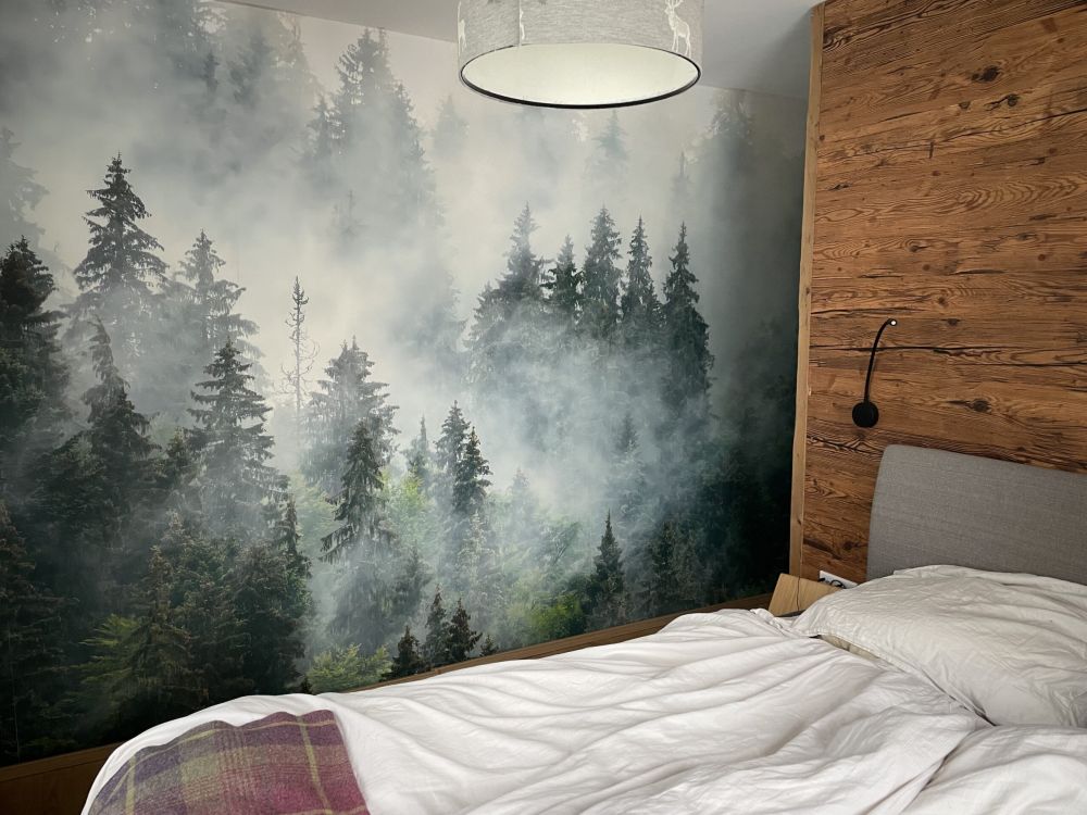 Mistig landschap met groene bomen