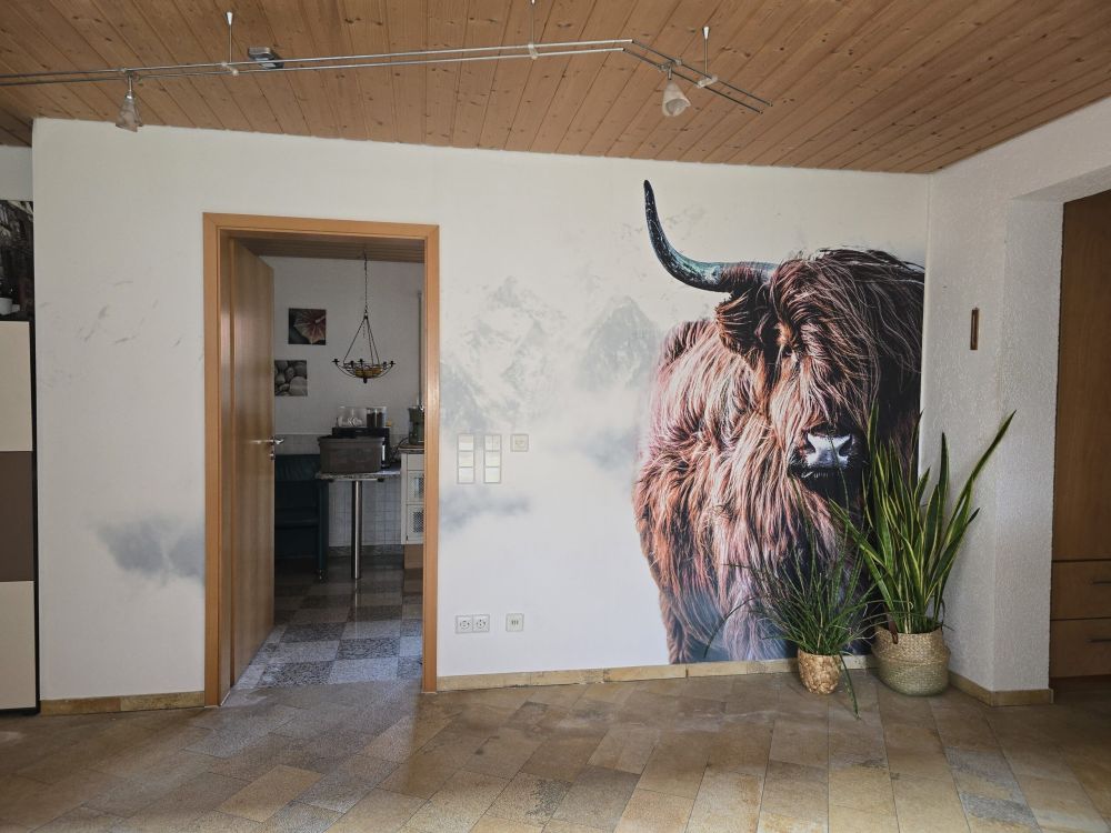Scottish Highlander