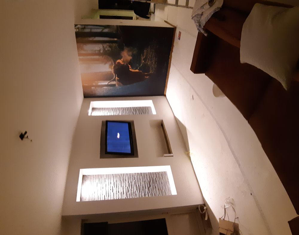 Schotse hooglander in ochtendlicht